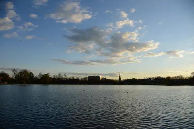 DSC_7145 (Large).JPG